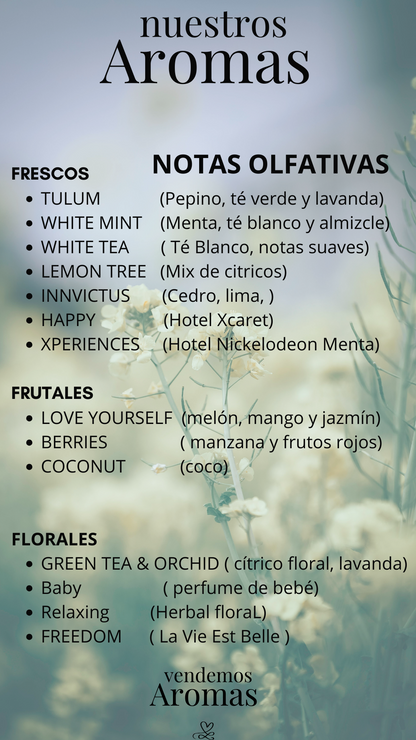 Aroma para difusor 500 ML PALACIO