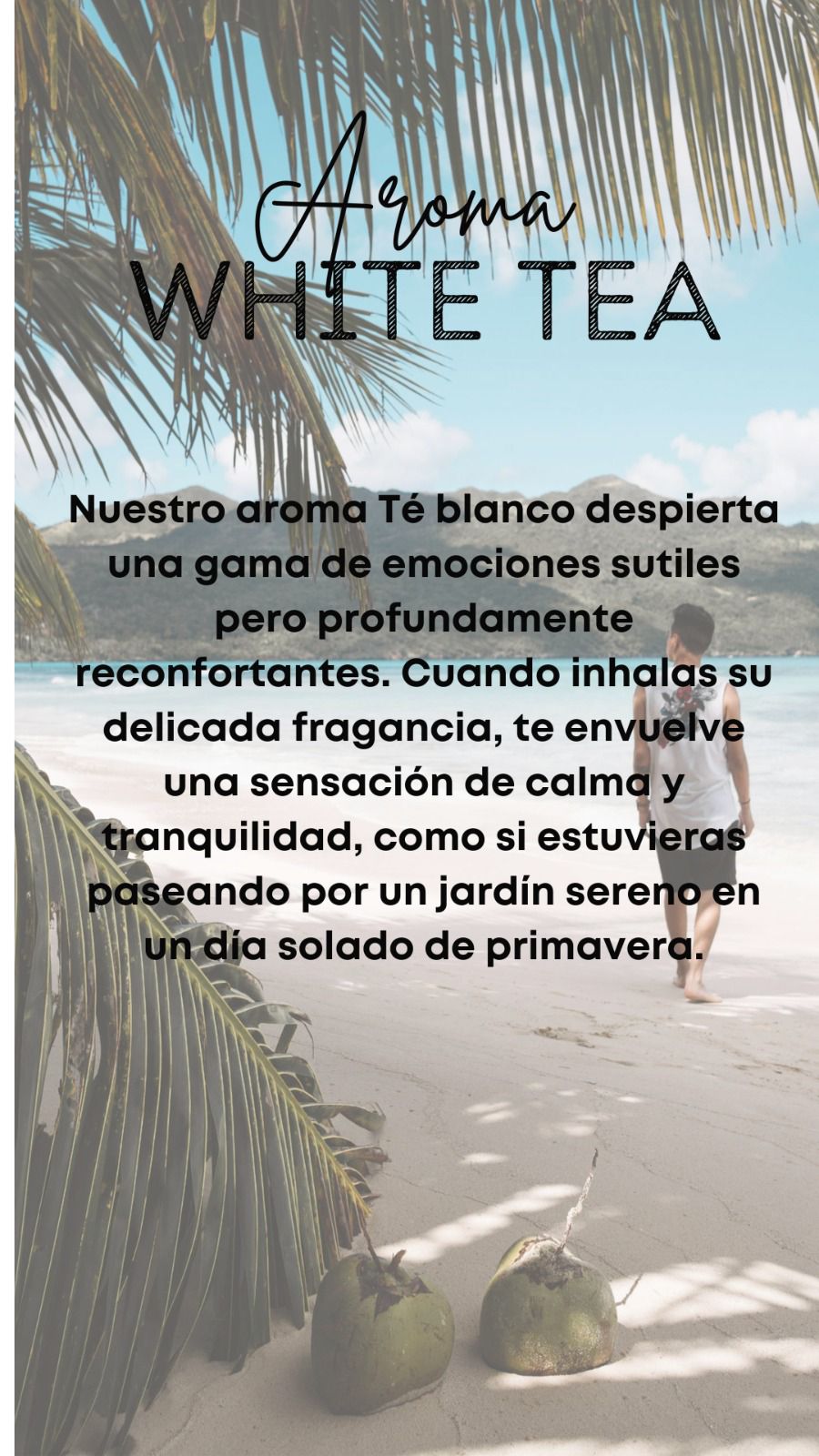 White Tea - Aroma Vidanta spa