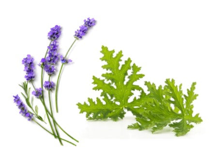 REPELENTE PARA MOSQUITOS -  Lavanda & Citronela